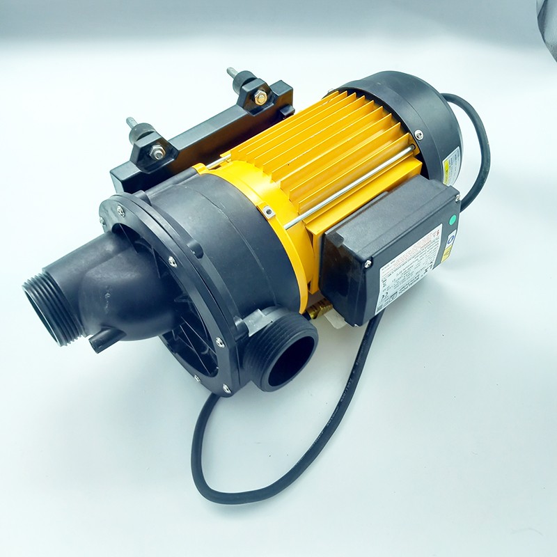 Pompe de massage TDA150 - 1,5 HP - Modèle Milford