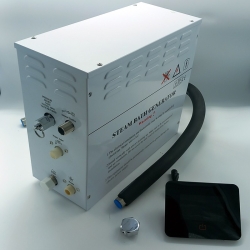 Machine à vapeur portative pour sauna Générateur de vapeur Portable for