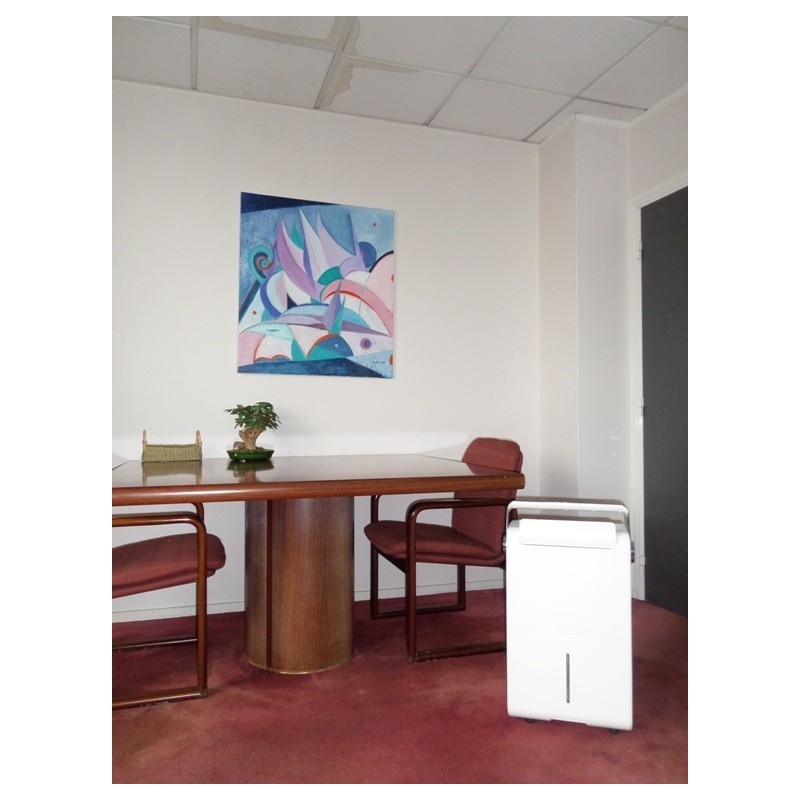 Déshumidificateur VENUS 30 - Teddington
